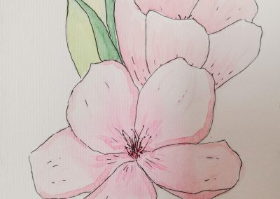 aquarelle d'une fleur