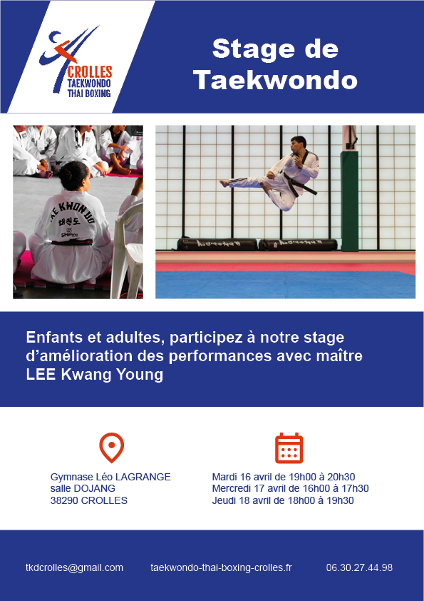 affiche pour stage taekwondo